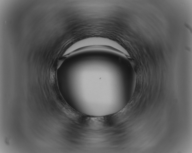 X0000091210188200708301437