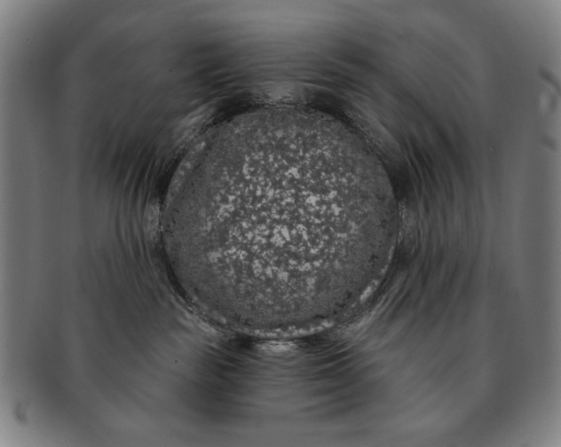 X0000091210189200708301437