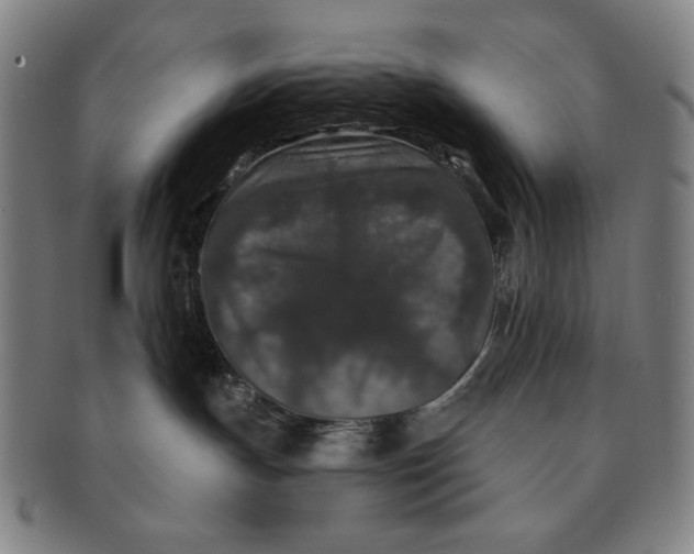 X0000091210191200708301437