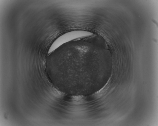 X0000091210192200708301437