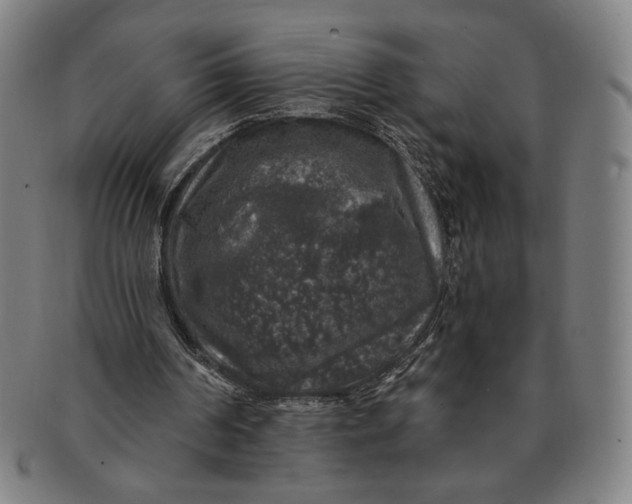 X0000091210194200708301436