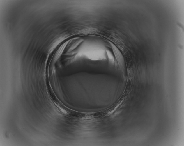 X0000091210196200708301436