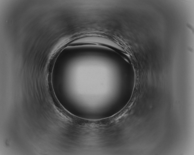 X0000091210197200708301436