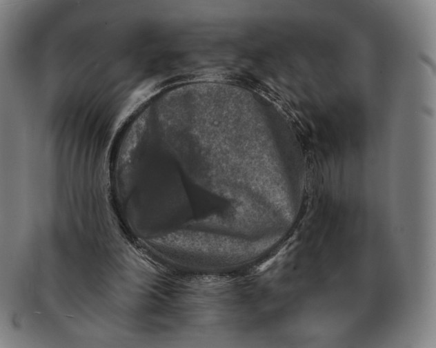 X0000091210198200708301436