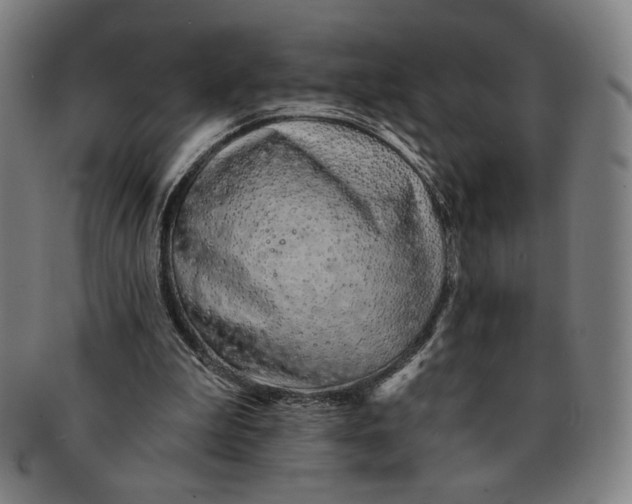 X0000091210199200708301436