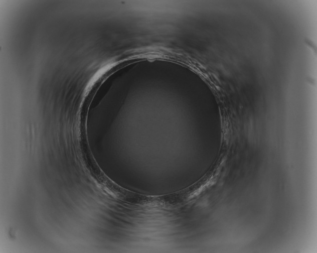 X0000091210200200708301436