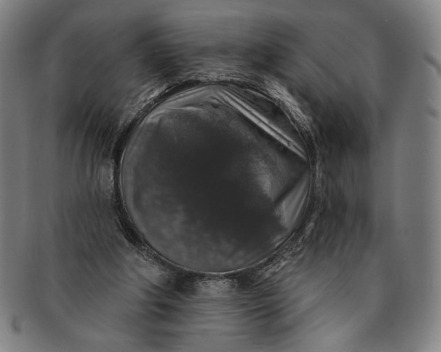 X0000091210202200708301436