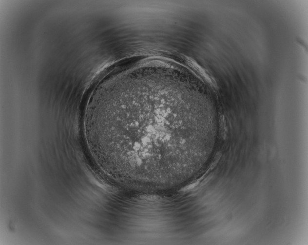 X0000091210203200708301436