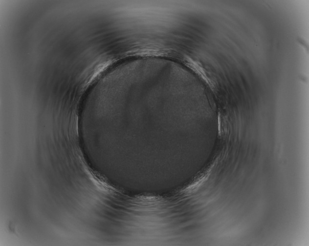 X0000091210205200708301436