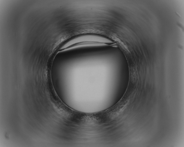 X0000091210207200708301436