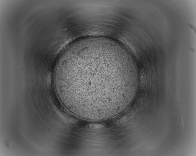 X0000091210208200708301436