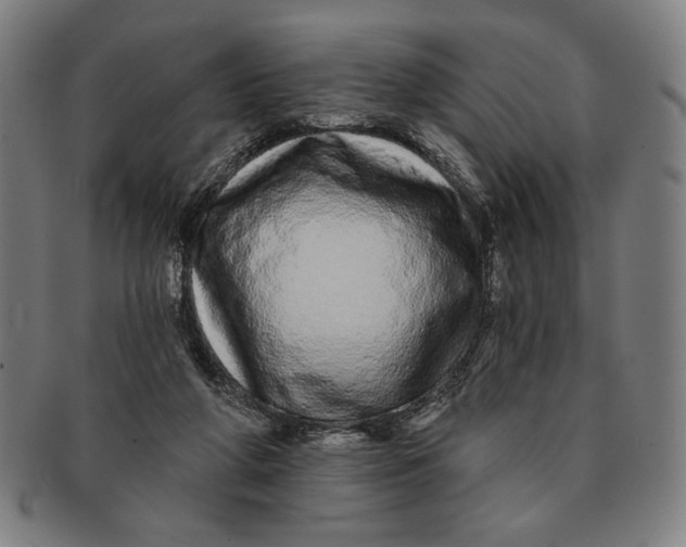 X0000091210210200708301436