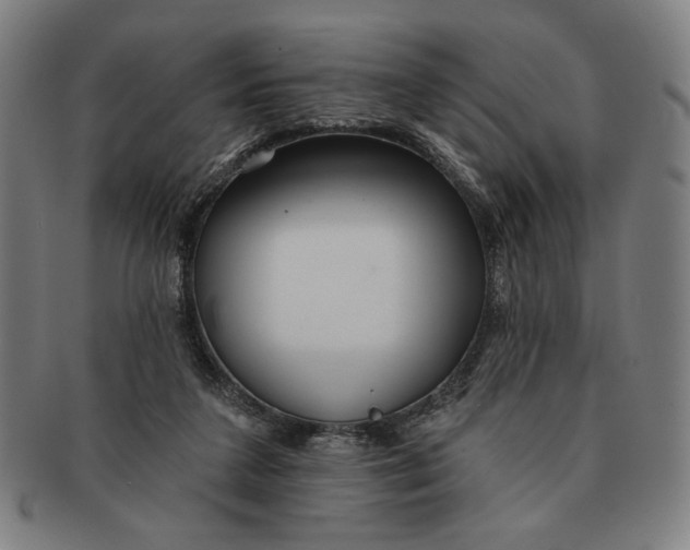 X0000091210211200708301436