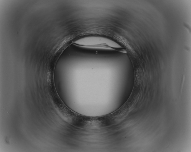 X0000091210212200708301436