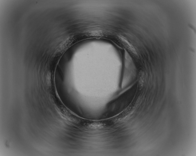 X0000091210213200708301436