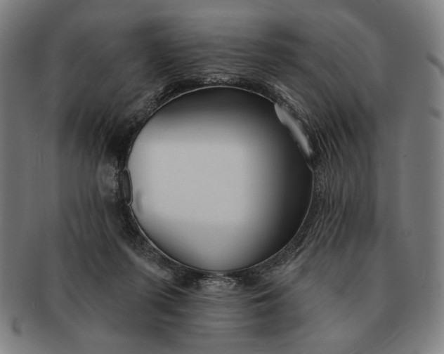 X0000091210215200708301436