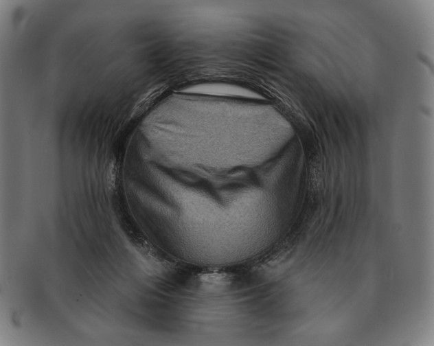 X0000091210216200708301436