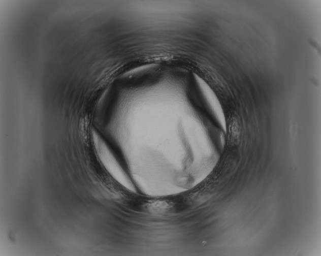 X0000091210218200708301436