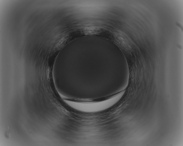 X0000091210219200708301436