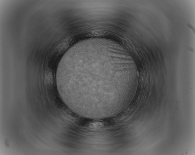 X0000091210220200708301436