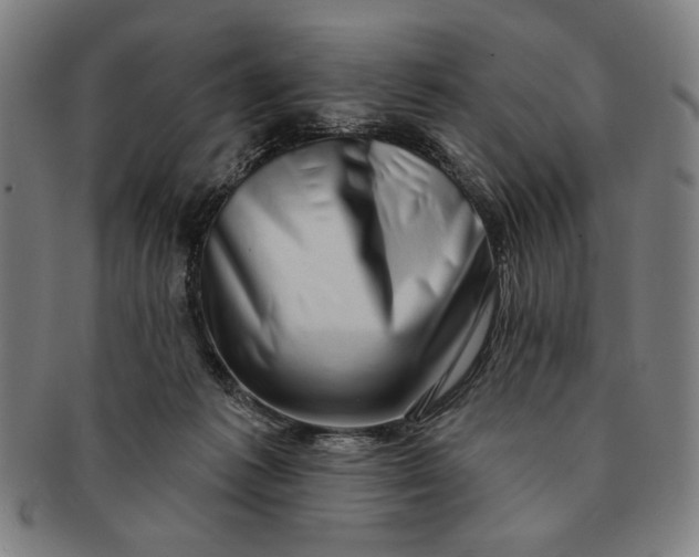 X0000091210221200708301436