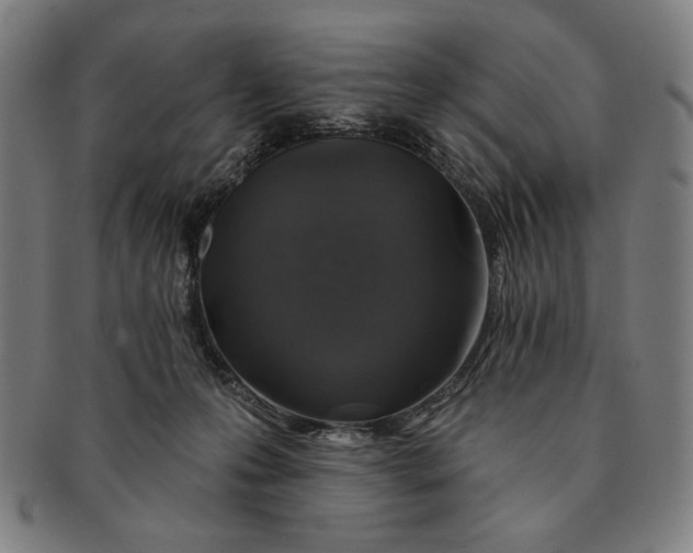 X0000091210223200708301436