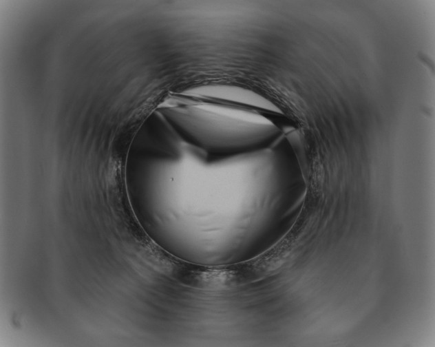 X0000091210225200708301436