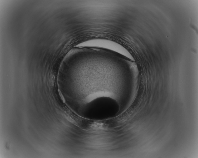 X0000091210227200708301436