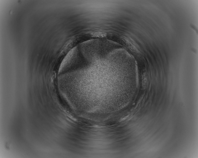 X0000091210229200708301436