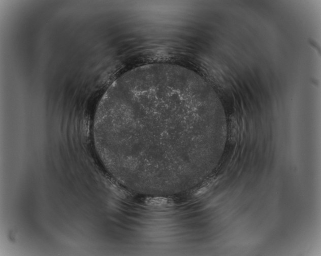 X0000091210230200708301436