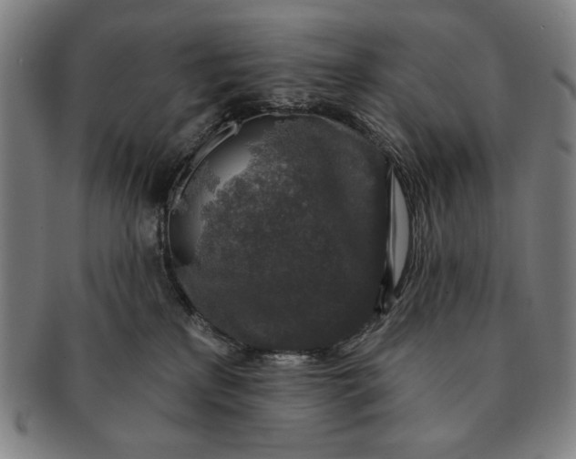 X0000091210233200708301435