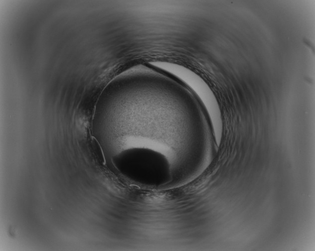 X0000091210235200708301435