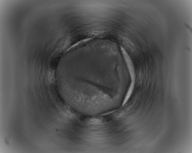 X0000091210236200708301435