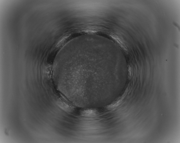 X0000091210237200708301435