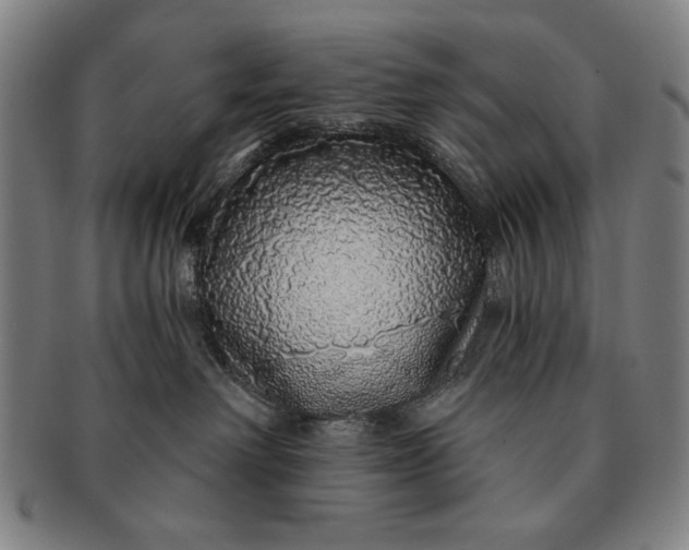 X0000091210238200708301435