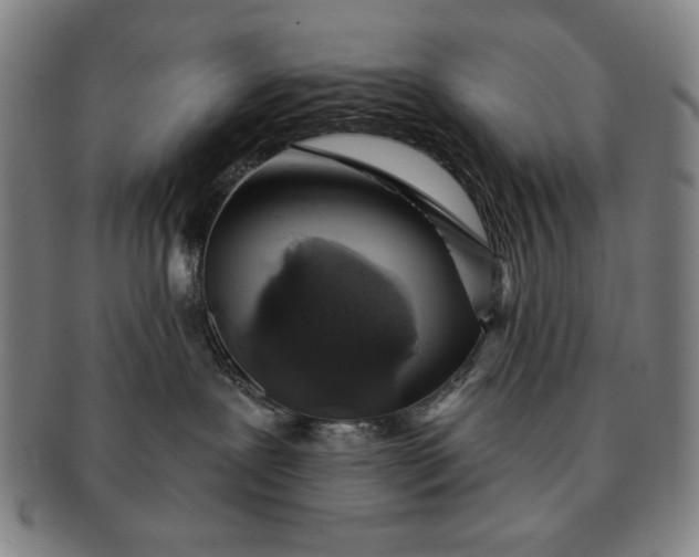 X0000091210239200708301435