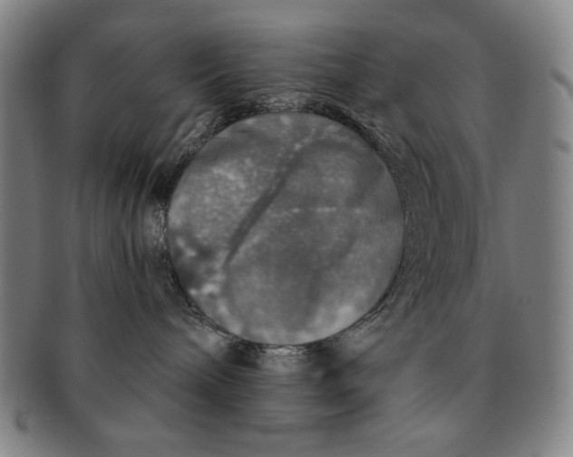 X0000091210240200708301435