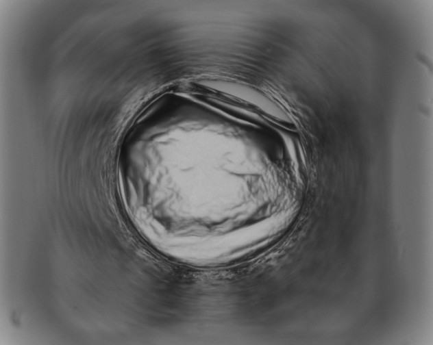 X0000091210241200708301435