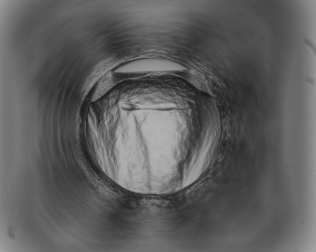 X0000091210242200708301435