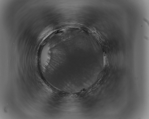 X0000091210243200708301435