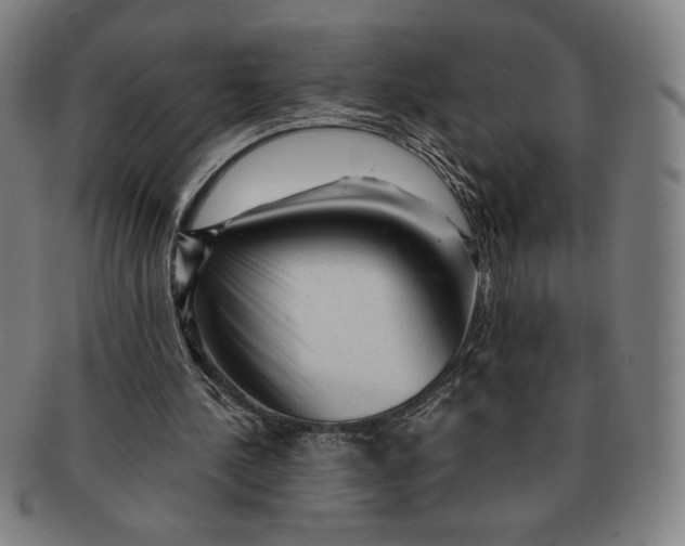 X0000091210244200708301435