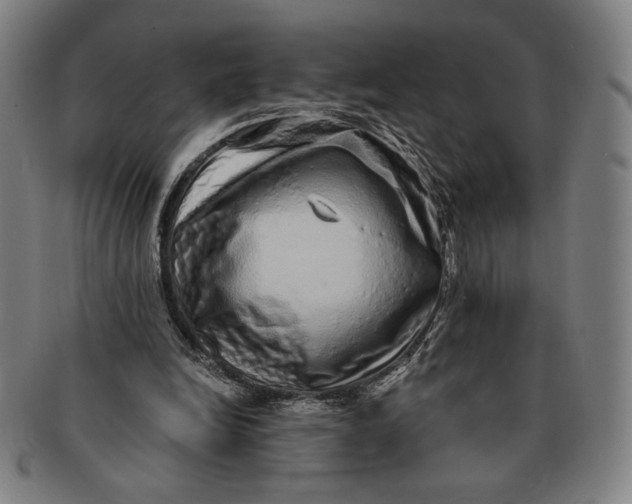 X0000091210246200708301435