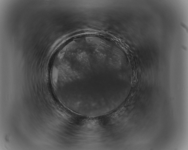 X0000091210247200708301435