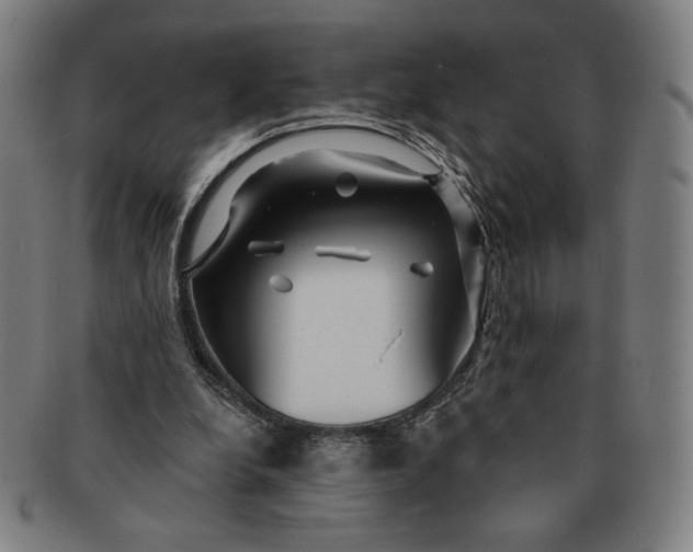 X0000091210248200708301435