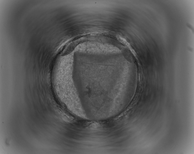 X0000091210249200708301435