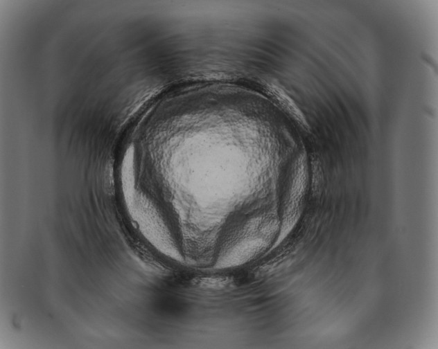 X0000091210251200708301435