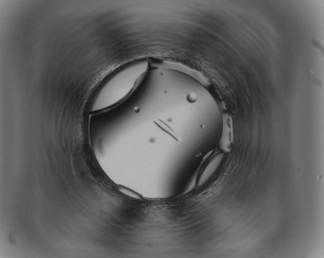 X0000091210252200708301435