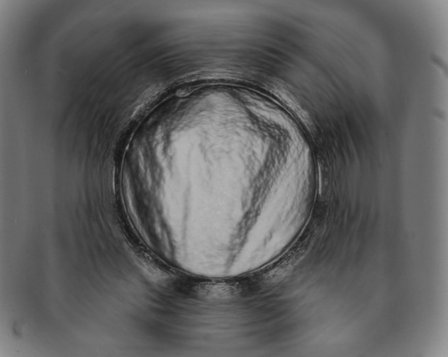 X0000091210253200708301435