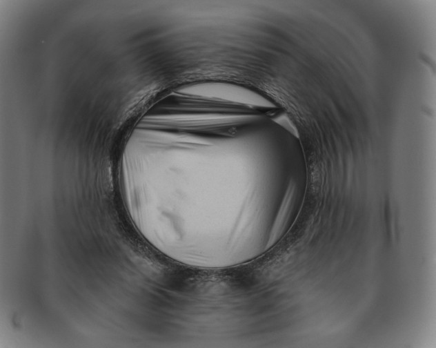 X0000091210254200708301435