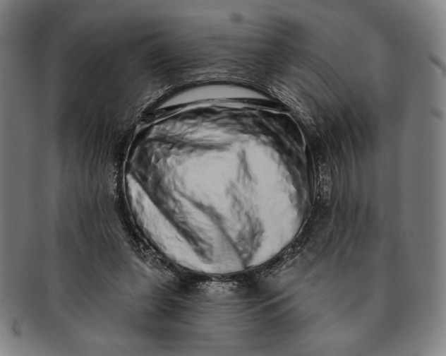 X0000091210255200708301435